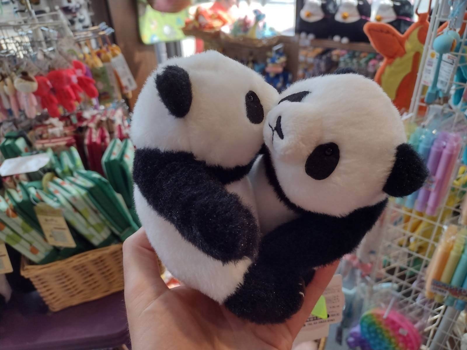 Pandas everywhere!